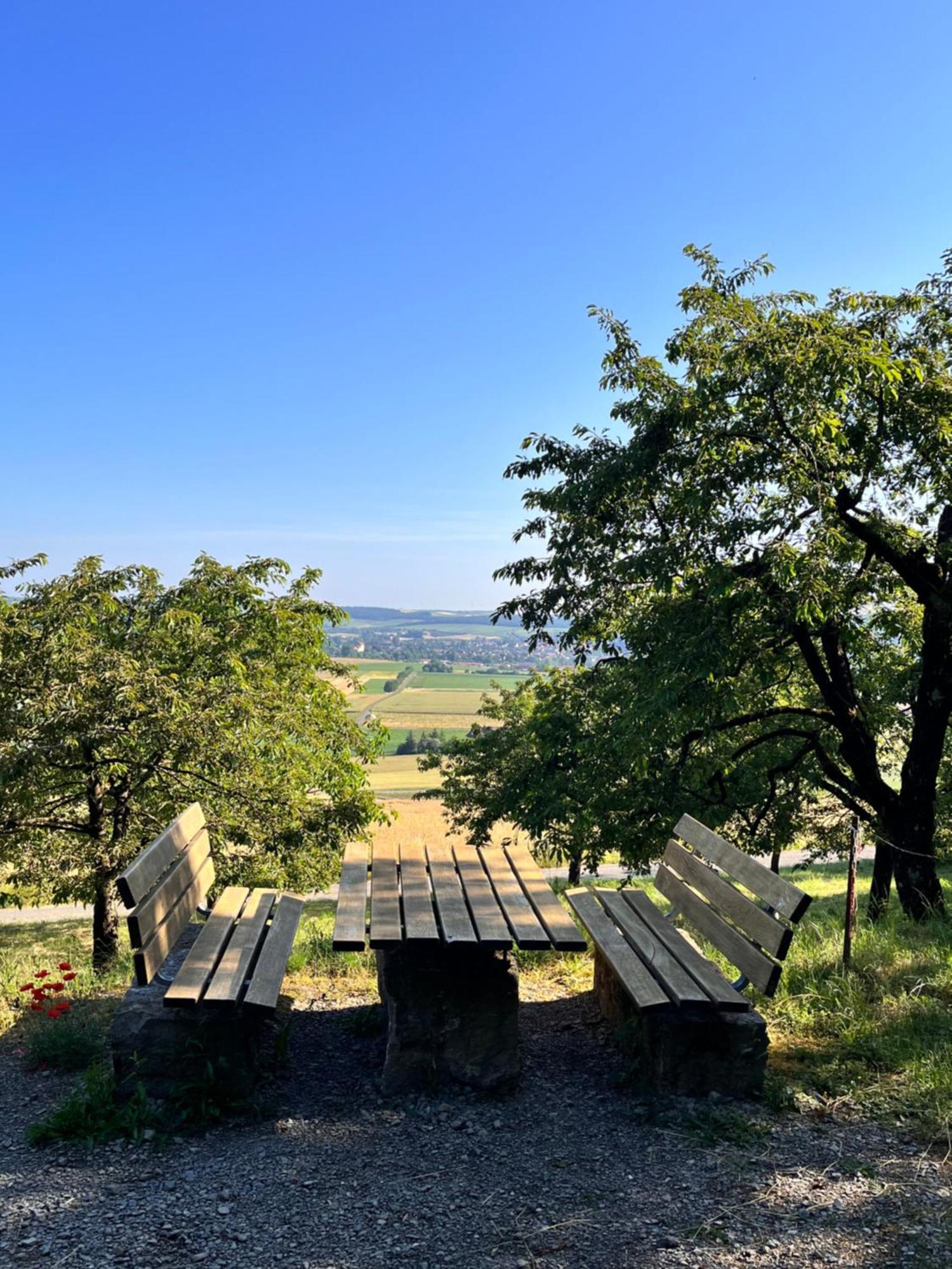Ferienhaus Weinbergblick - Nahe Wuerzburg - 2 Schlafzimmer - Familienfreundlich - Terrasse Unterleinach Екстериор снимка